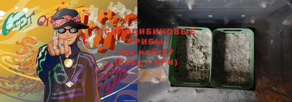 ГАЛЛЮЦИНОГЕННЫЕ ГРИБЫ Алексин